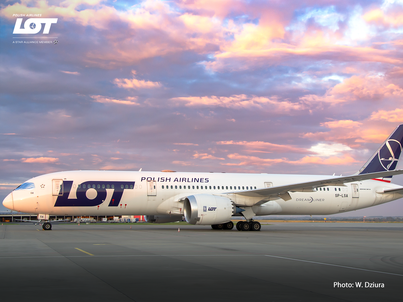 Dreamliner from the LOT fleet parked on the airport apron